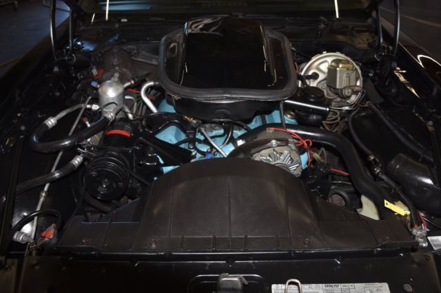 1979 Pontiac Firebird Trans Am "Smokey and the Bandit" 4Spd - photo 10