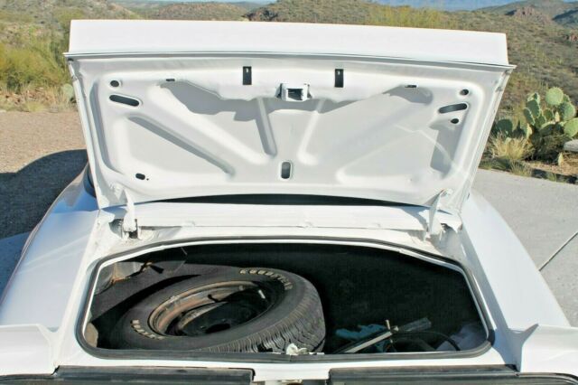 1979 Pontiac Firebird Trans Am - photo 10