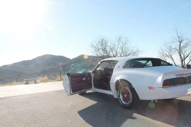 1979 Pontiac Firebird Trans Am - photo 11