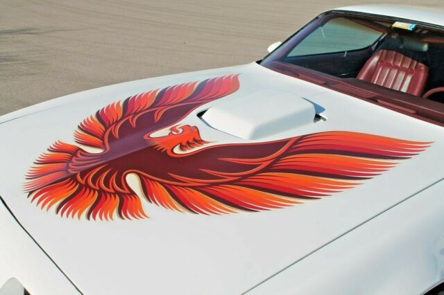 1979 Pontiac Firebird Trans Am - photo 3