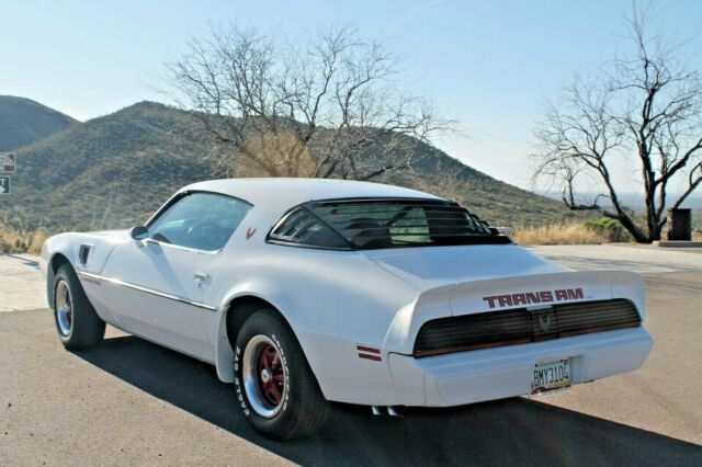 1979 Pontiac Firebird Trans Am - photo 6