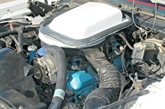 1979 Pontiac Firebird Trans Am - photo 8