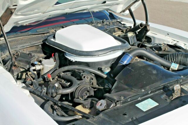 1979 Pontiac Firebird Trans Am - photo 9