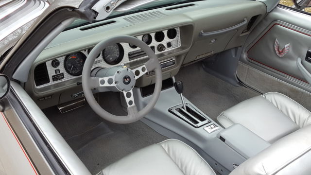 1979 Pontiac Trans Am Silver 10th anniversary - photo 11