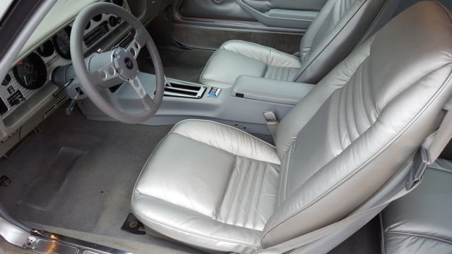 1979 Pontiac Trans Am Silver 10th anniversary - photo 12