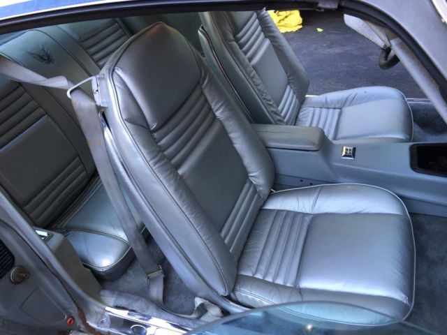 1979 Pontiac Trans Am Silver 10th anniversary - photo 3