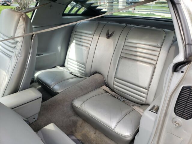 1979 Pontiac Trans Am 10th Anniversary Edition - photo 13