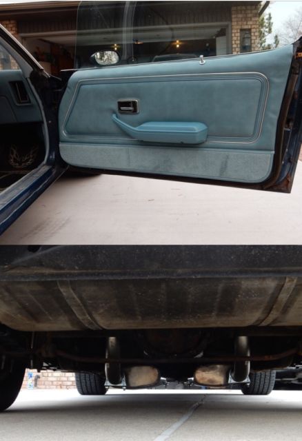 1979 Pontiac Trans Am - photo 11