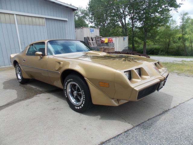 1979 Pontiac Firebird Trans Am - photo 2