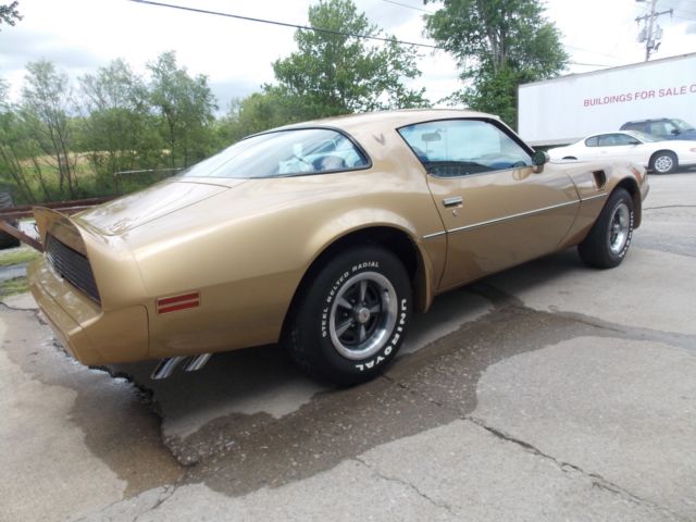 1979 Pontiac Firebird Trans Am - photo 3