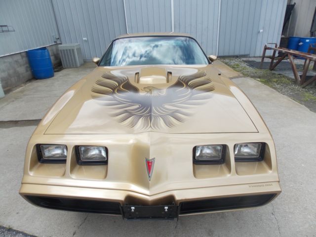 1979 Pontiac Firebird Trans Am - photo 4