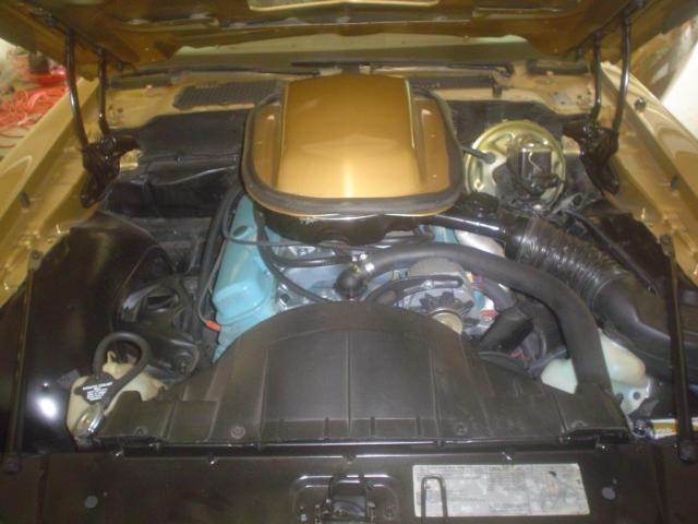 1979 Pontiac Firebird TRANS AM 6.6 Liter - photo 10