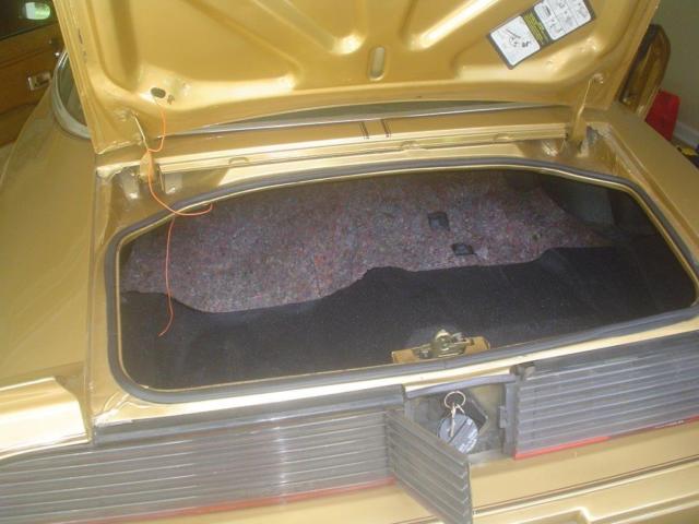 1979 Pontiac Firebird TRANS AM 6.6 Liter - photo 11