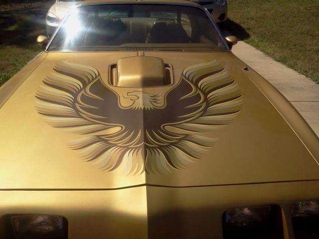 1979 Pontiac Firebird TRANS AM 6.6 Liter - photo 3