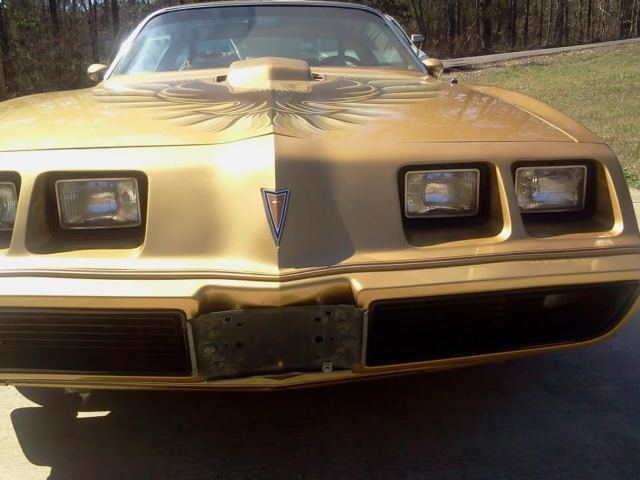 1979 Pontiac Firebird TRANS AM 6.6 Liter - photo 6