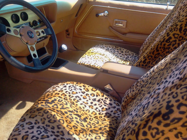 1979 Pontiac Firebird TRANS AM 6.6 Liter - photo 7
