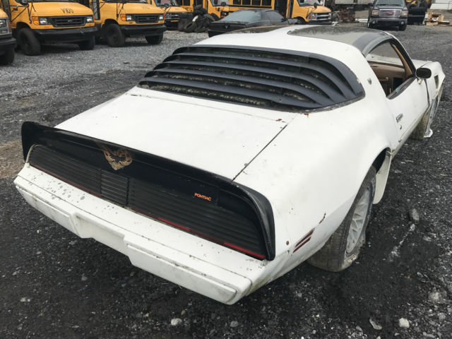 1979 Pontiac Firebird TRANS AM - photo 2