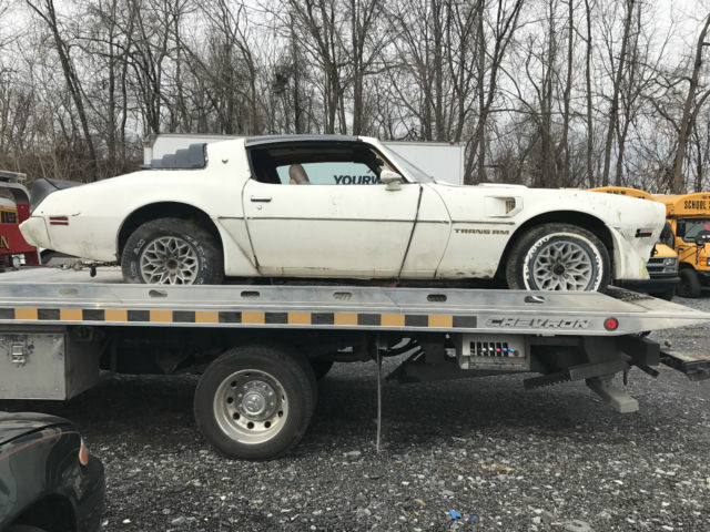 1979 Pontiac Firebird TRANS AM - photo 3