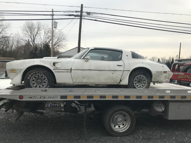 1979 Pontiac Firebird TRANS AM - photo 4