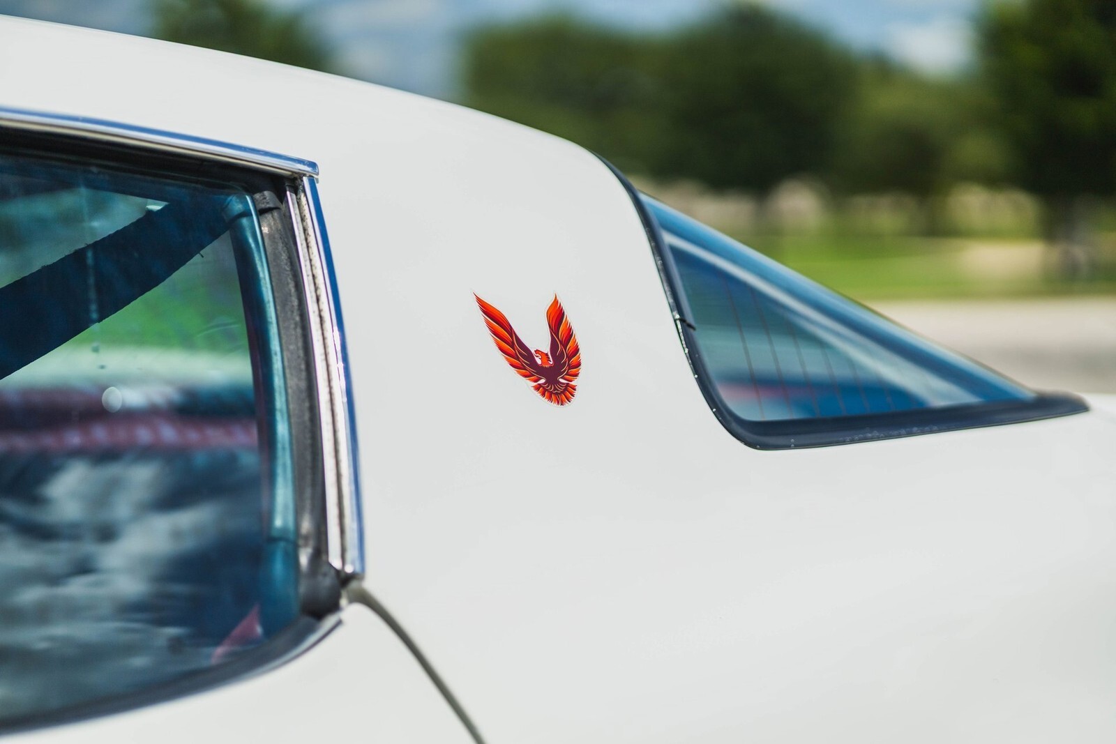 1979 Pontiac Firebird Trans Am 403 V8 - photo 11