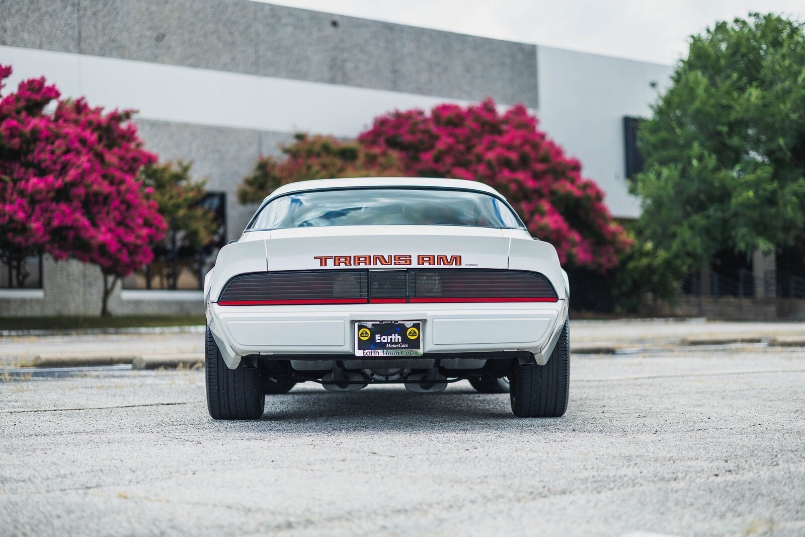 1979 Pontiac Firebird Trans Am 403 V8 - photo 12