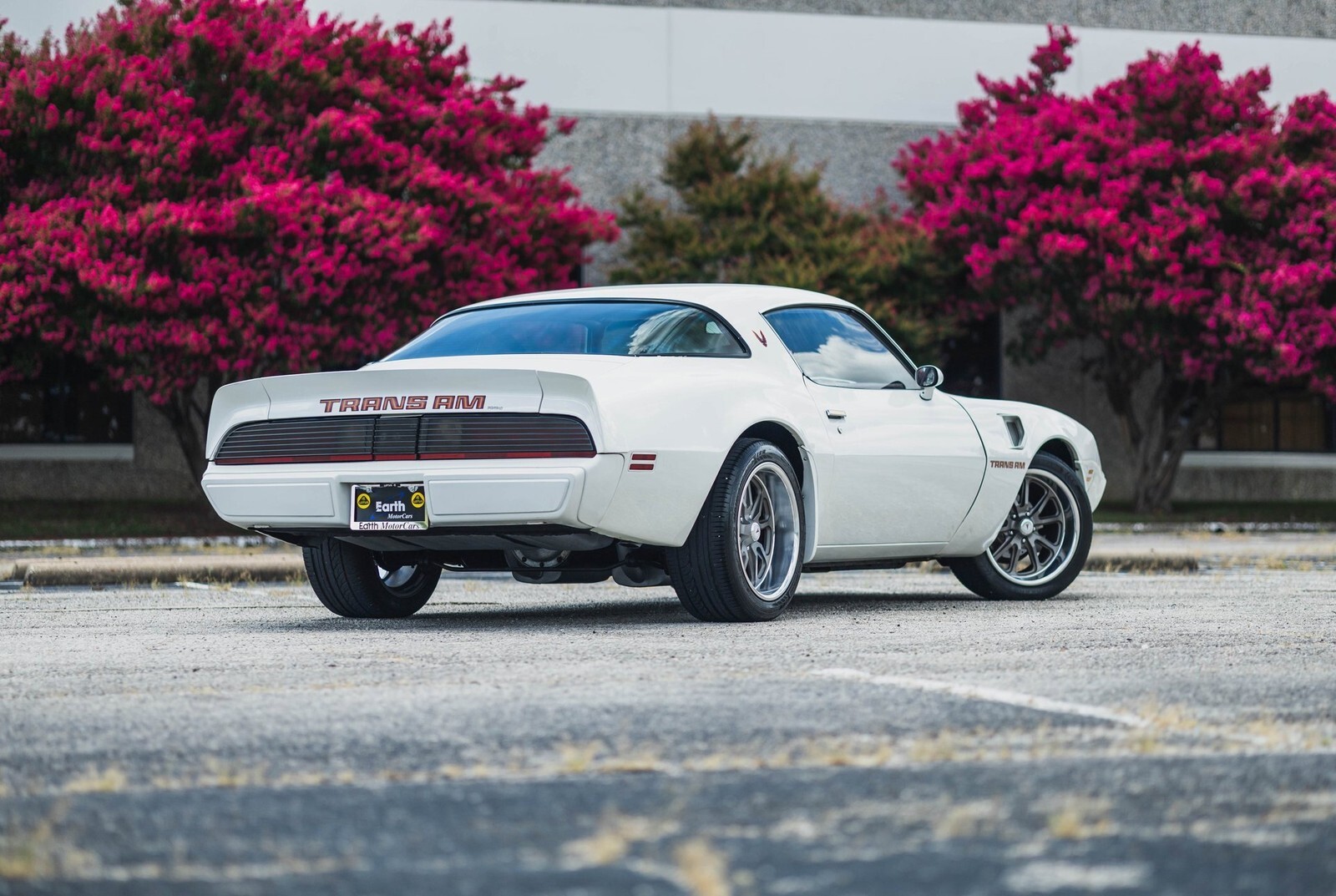 1979 Pontiac Firebird Trans Am 403 V8 - photo 13