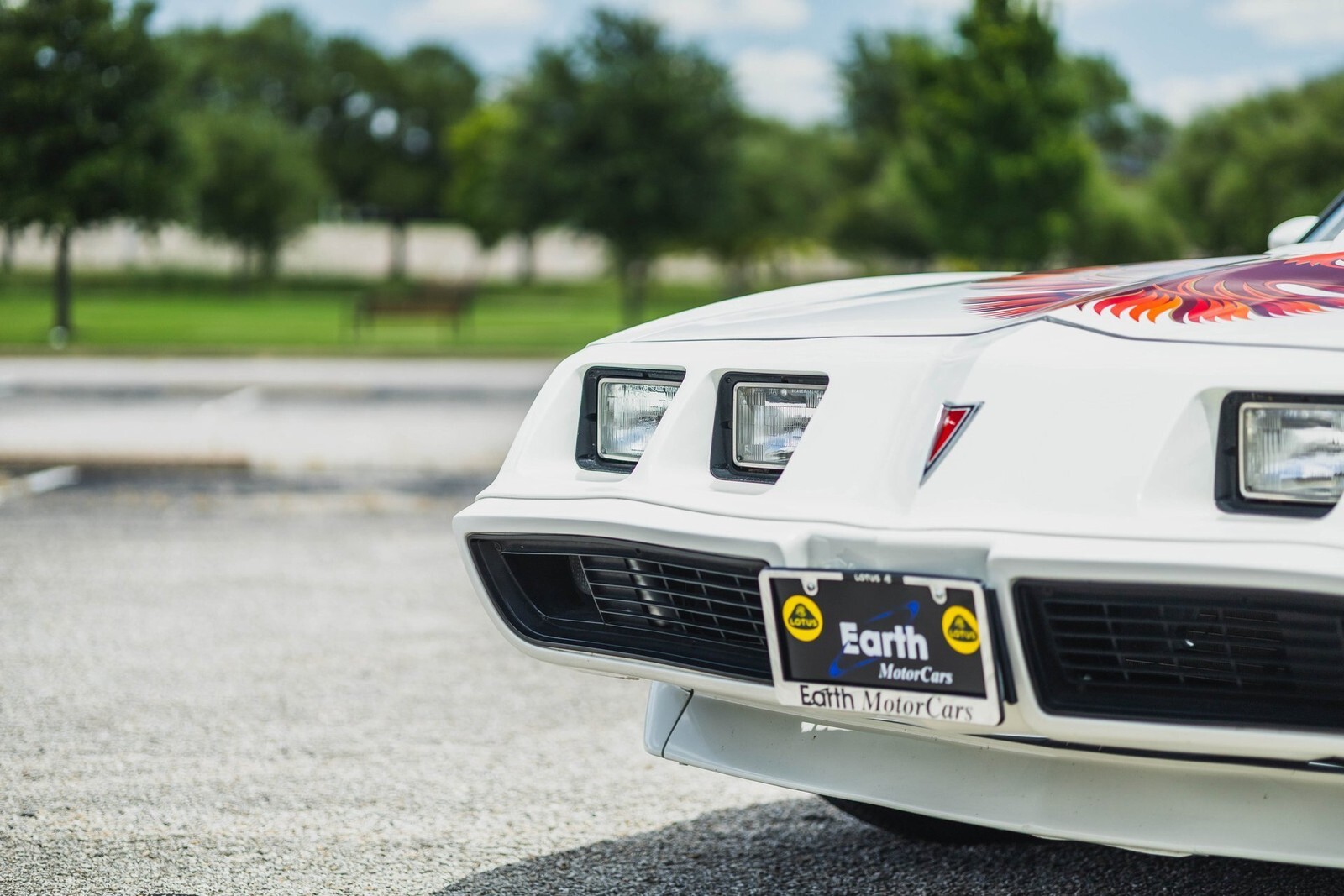 1979 Pontiac Firebird Trans Am 403 V8 - photo 5