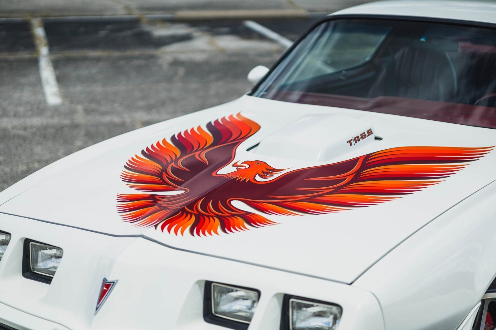 1979 Pontiac Firebird Trans Am 403 V8 - photo 7
