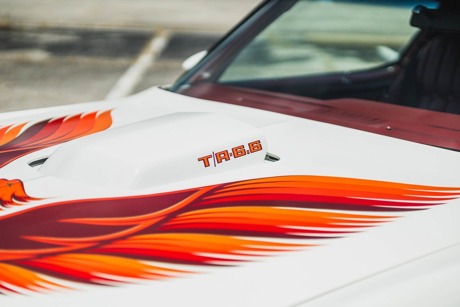 1979 Pontiac Firebird Trans Am 403 V8 - photo 8