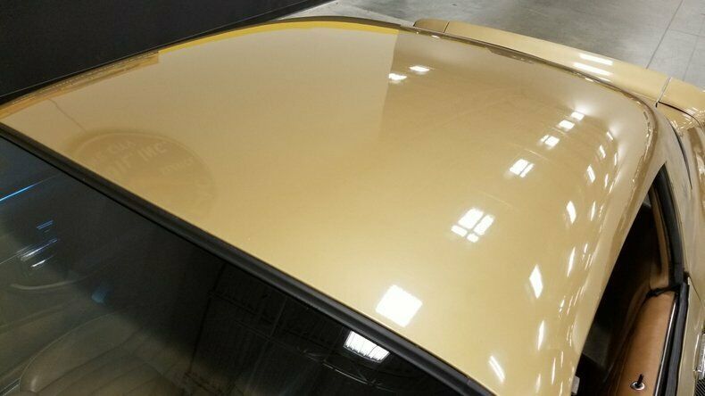 1979 Pontiac Trans Am - photo 13