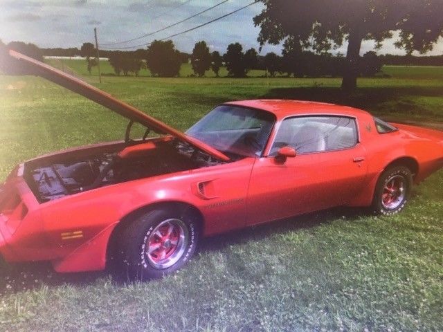 1979 Pontiac Firebird Trans Am - photo 3
