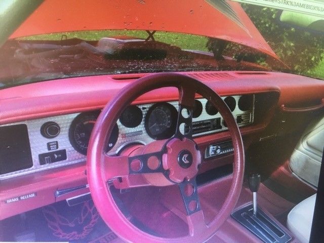 1979 Pontiac Firebird Trans Am - photo 8
