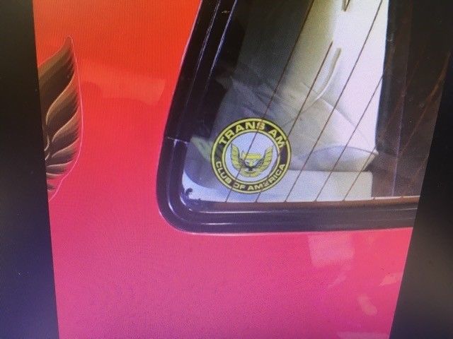 1979 Pontiac Firebird Trans Am - photo 9