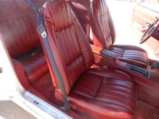 1979 Pontiac Trans Am - photo 11