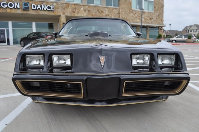 1979 Pontiac Firebird TRANS AM - photo 10