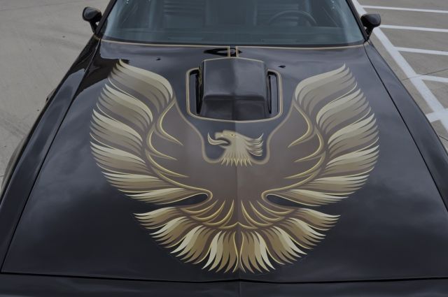 1979 Pontiac Firebird TRANS AM - photo 11
