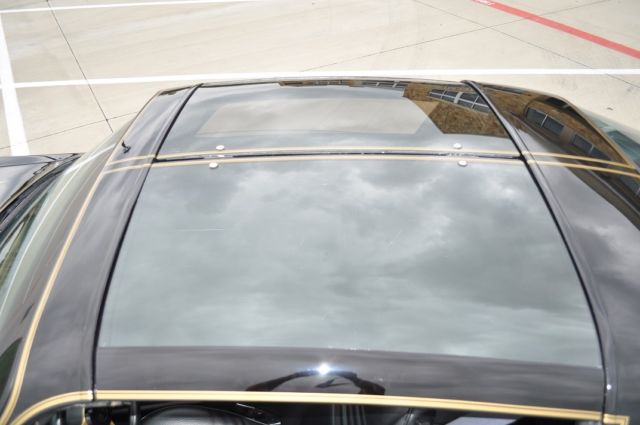 1979 Pontiac Firebird TRANS AM - photo 12