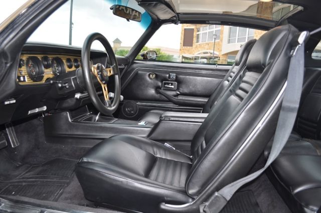 1979 Pontiac Firebird TRANS AM - photo 13