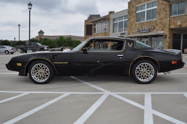 1979 Pontiac Firebird TRANS AM - photo 2