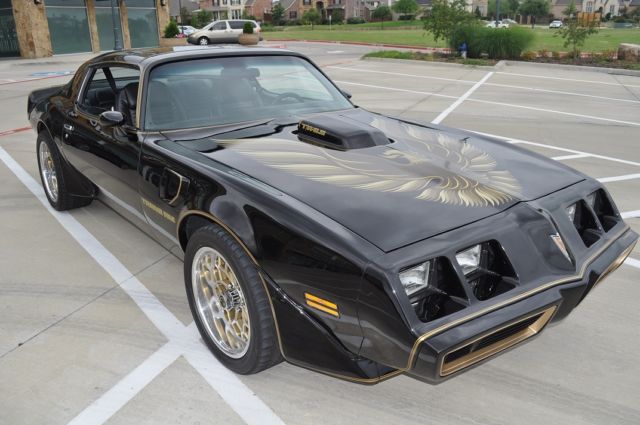 1979 Pontiac Firebird TRANS AM - photo 3