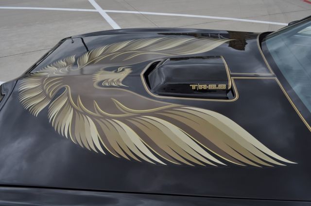1979 Pontiac Firebird TRANS AM - photo 4