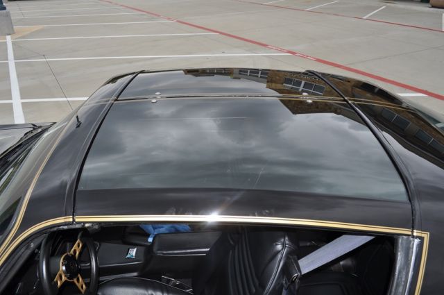 1979 Pontiac Firebird TRANS AM - photo 5