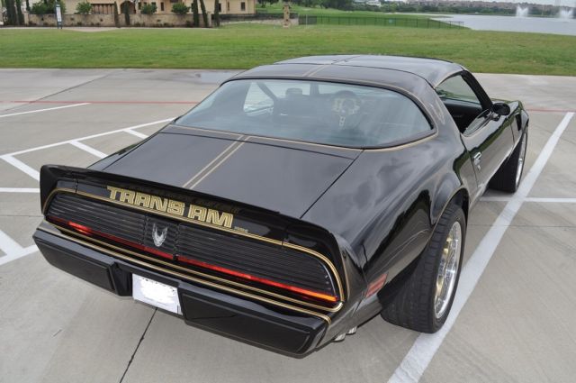 1979 Pontiac Firebird TRANS AM - photo 7