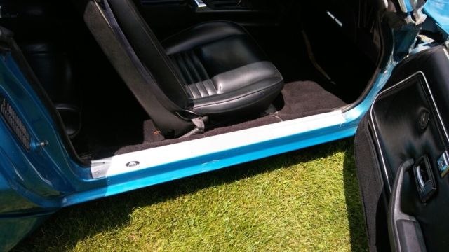 1979 Pontiac Trans Am - photo 11