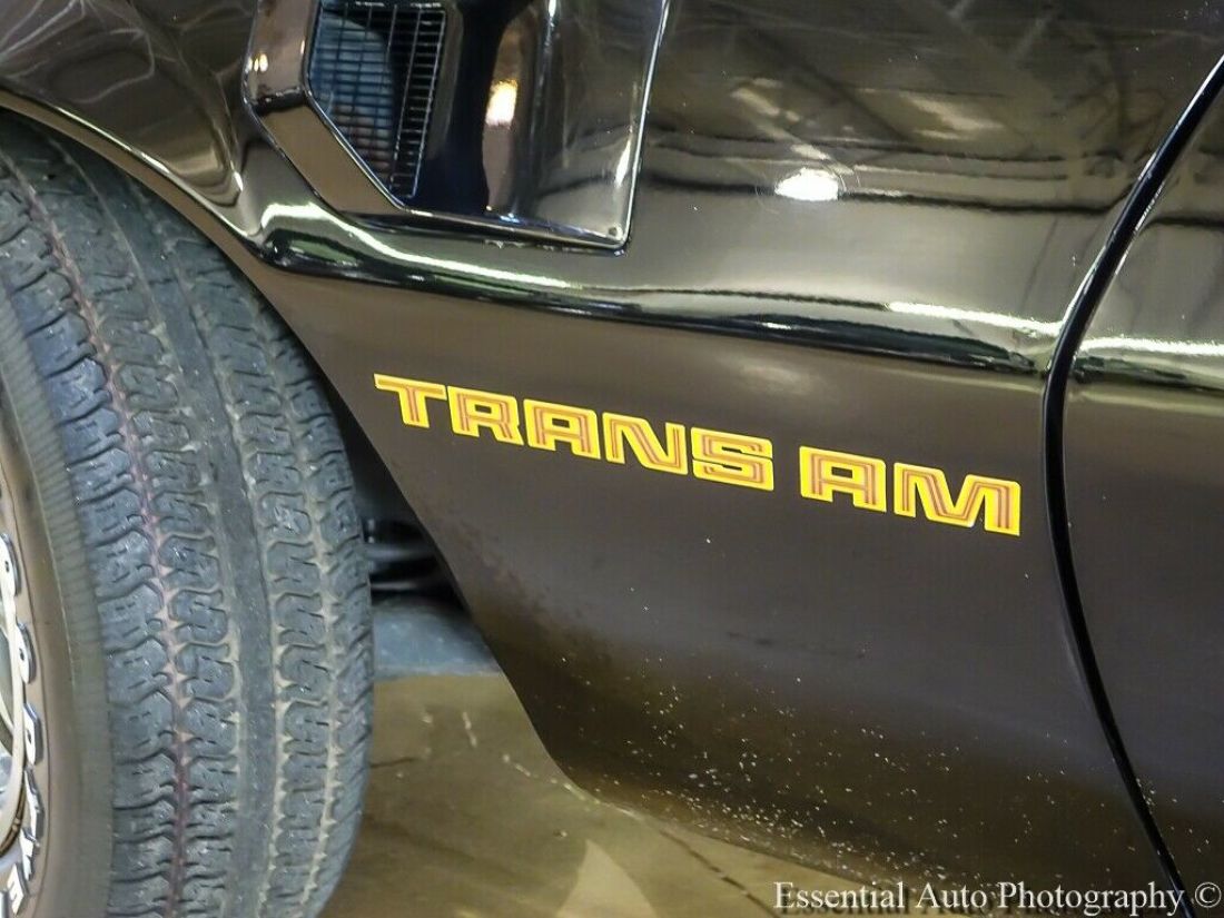 1979 Pontiac Firebird Trans Am - photo 10