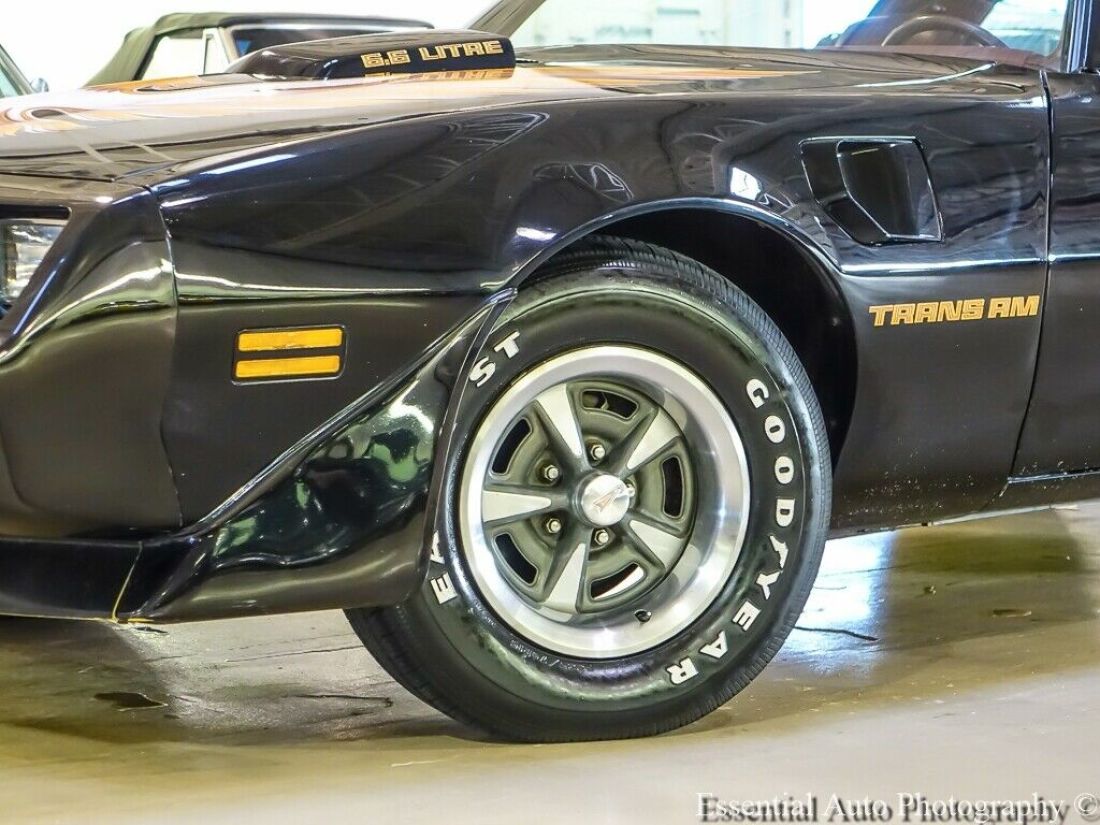 1979 Pontiac Firebird Trans Am - photo 3
