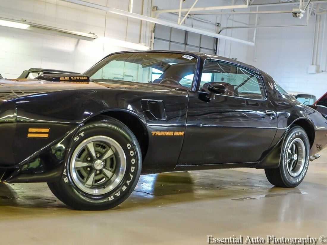 1979 Pontiac Firebird Trans Am - photo 4