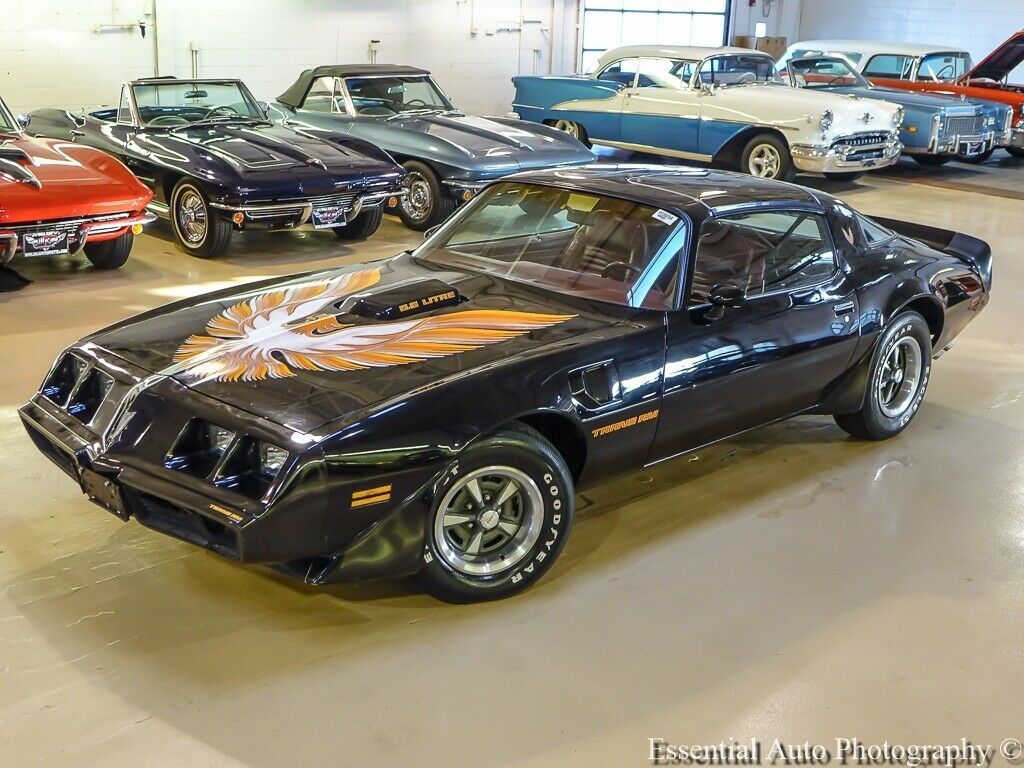 1979 Pontiac Firebird Trans Am - photo 5