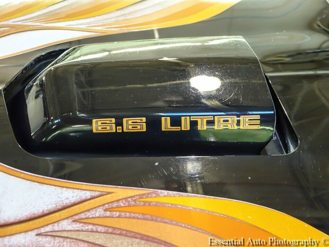 1979 Pontiac Firebird Trans Am - photo 9