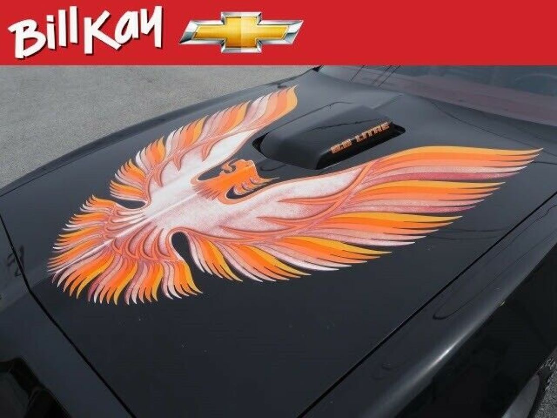 1979 Pontiac Firebird Trans Am - photo 11